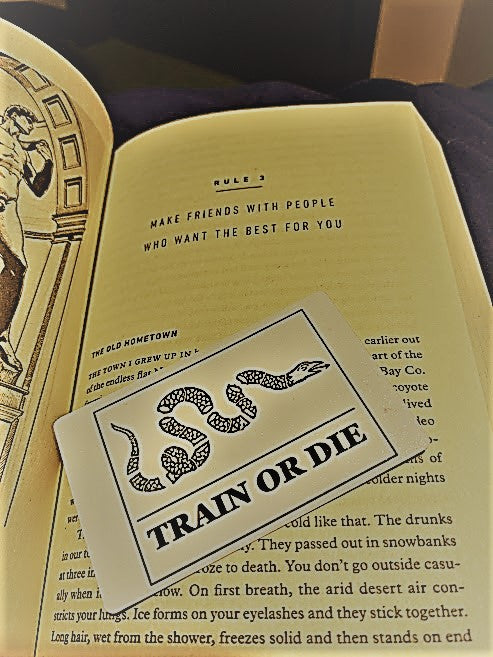 The Man in the Mirror